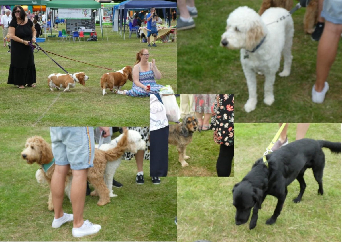 2019 East Hanningfield Fete Welcomes Well-behaved & Responsible Dog Owners